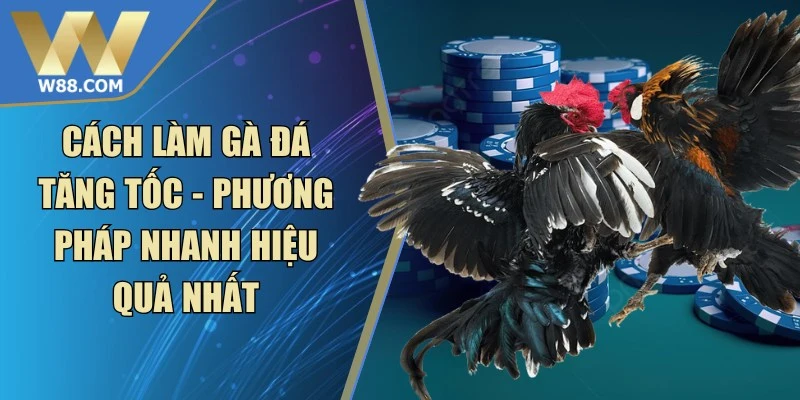 Cách Làm Gà Đá Tăng Tốc