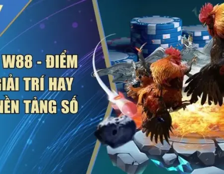 Đá Gà W88